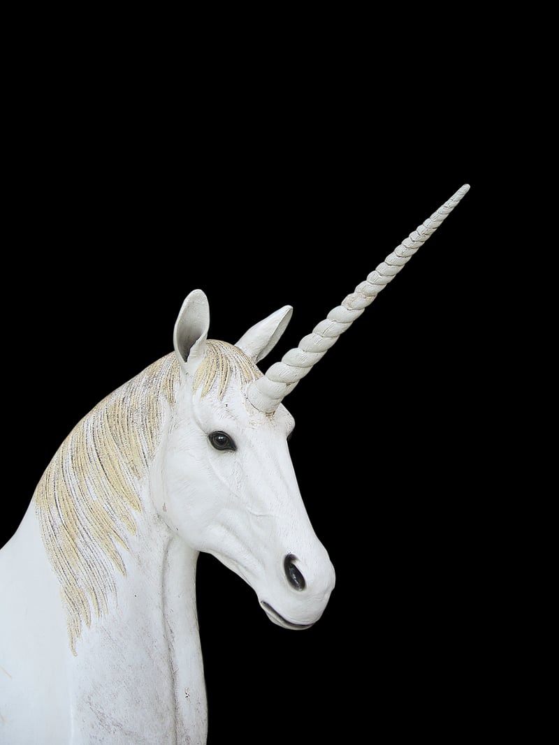 Magical Menagerie